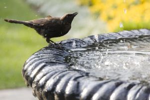 Great buy! Great buy!